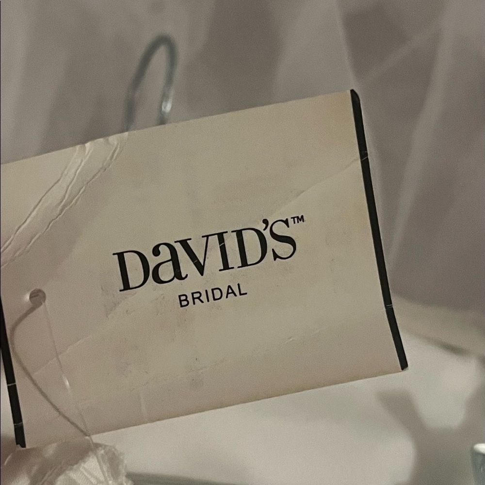 David’s Bridal Petticoat